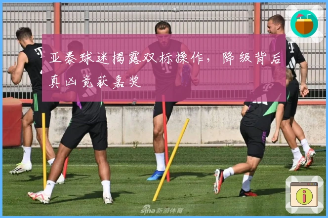 亚泰球迷揭露双标操作，降级背后真凶竟获嘉奖